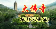 欧美视频下一篇大鸡巴插骚逼出水中国浙江-新昌大佛寺旅游风景区
